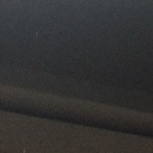 Meet your Posher, Gus